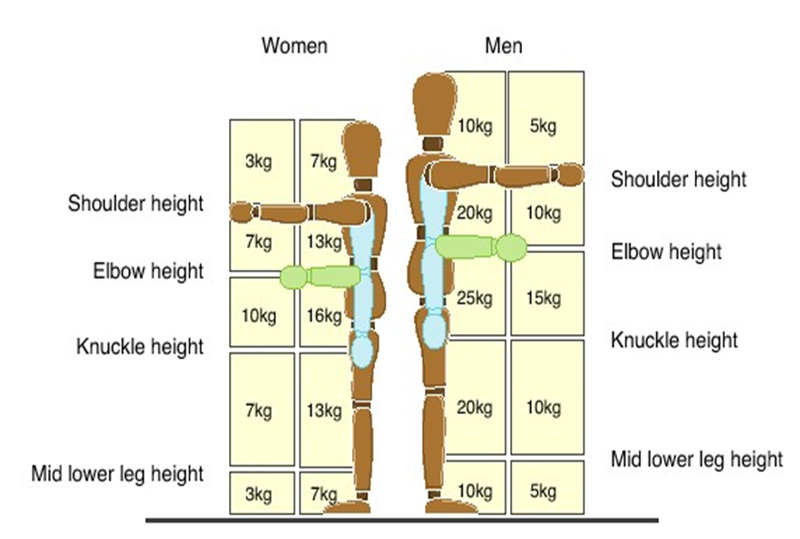 File:Manual Handling Risk Diagram.png